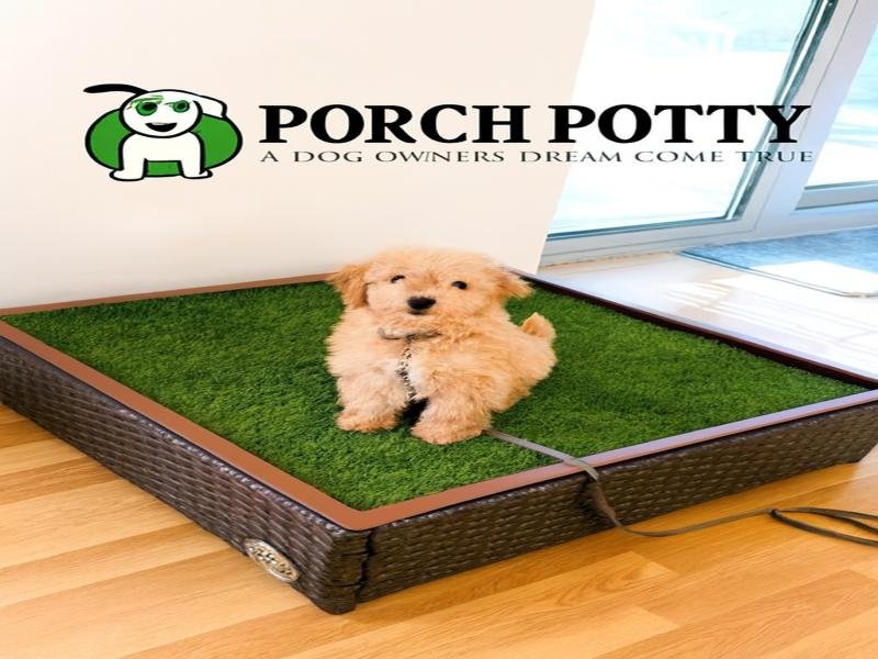 Porch Potty The Smart Indoor and Outdoor Dog Bathroom Solution